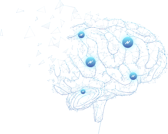 cerveau Groupe 52992